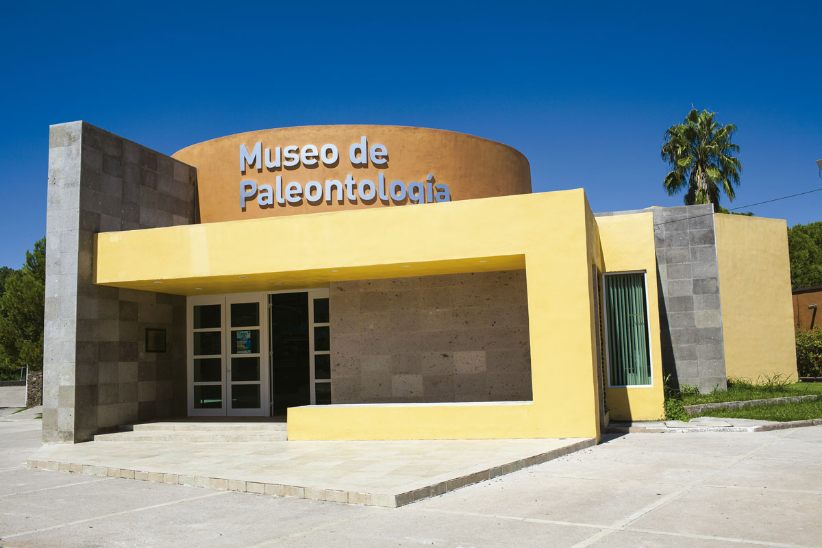 Frente del Museo de Paleontología