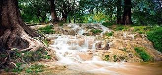 Naturaleza